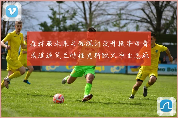 森林狼未来之路探讨麦丹换字母哥或追逐莫兰特福克斯欧文冲击总冠军