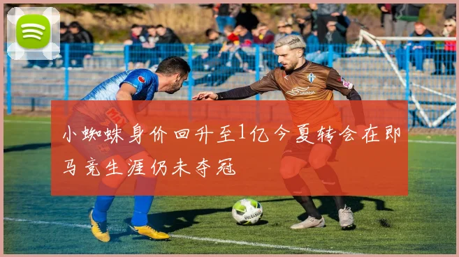 小蜘蛛身价回升至1亿今夏转会在即马竞生涯仍未夺冠